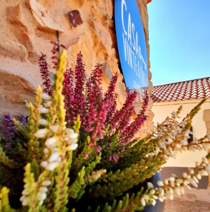 Casa Vinte & Cinco Alojamento Local Penha Garcia Εξωτερικό φωτογραφία